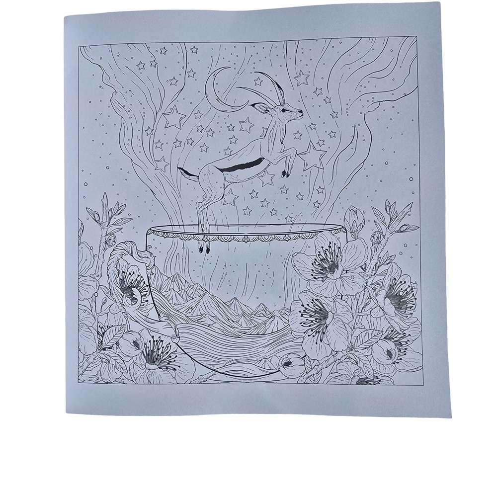 Mythographic Discover Shangri-La Artists Coloring Book Alessandra Fusi Paperback - Picture 4 of 8